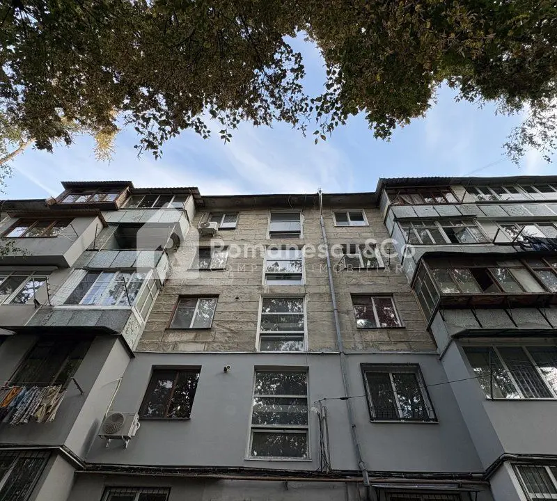 Buiucani, Ioana Radu